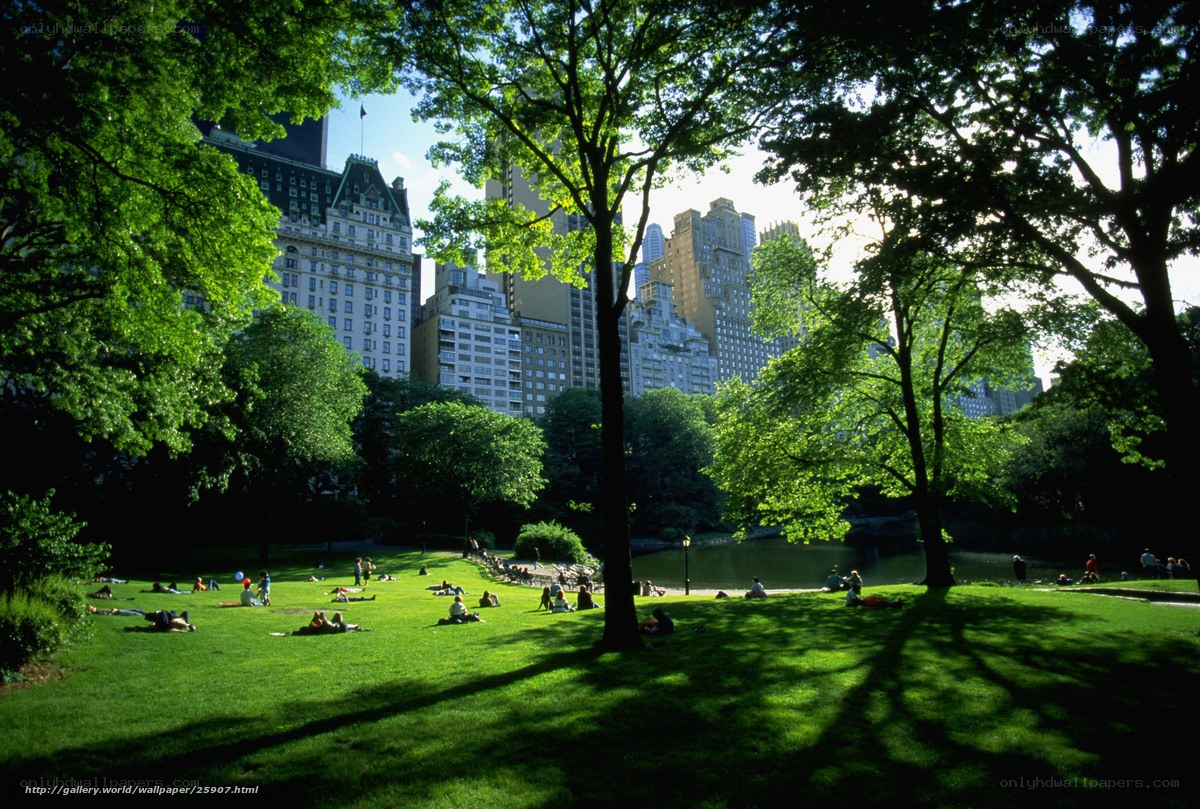 Central Park with city skyline