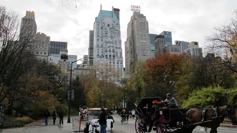Central Park with horse-drawn carriage