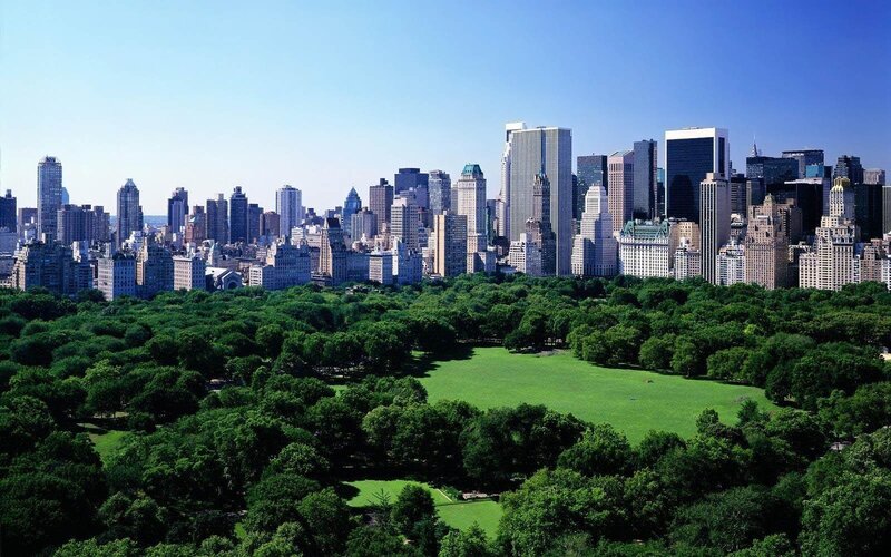 Central Park with NYC skyline