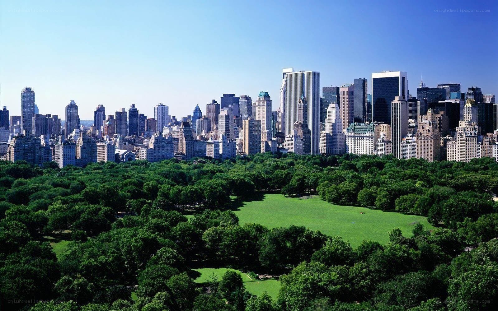 Central Park with NYC skyline