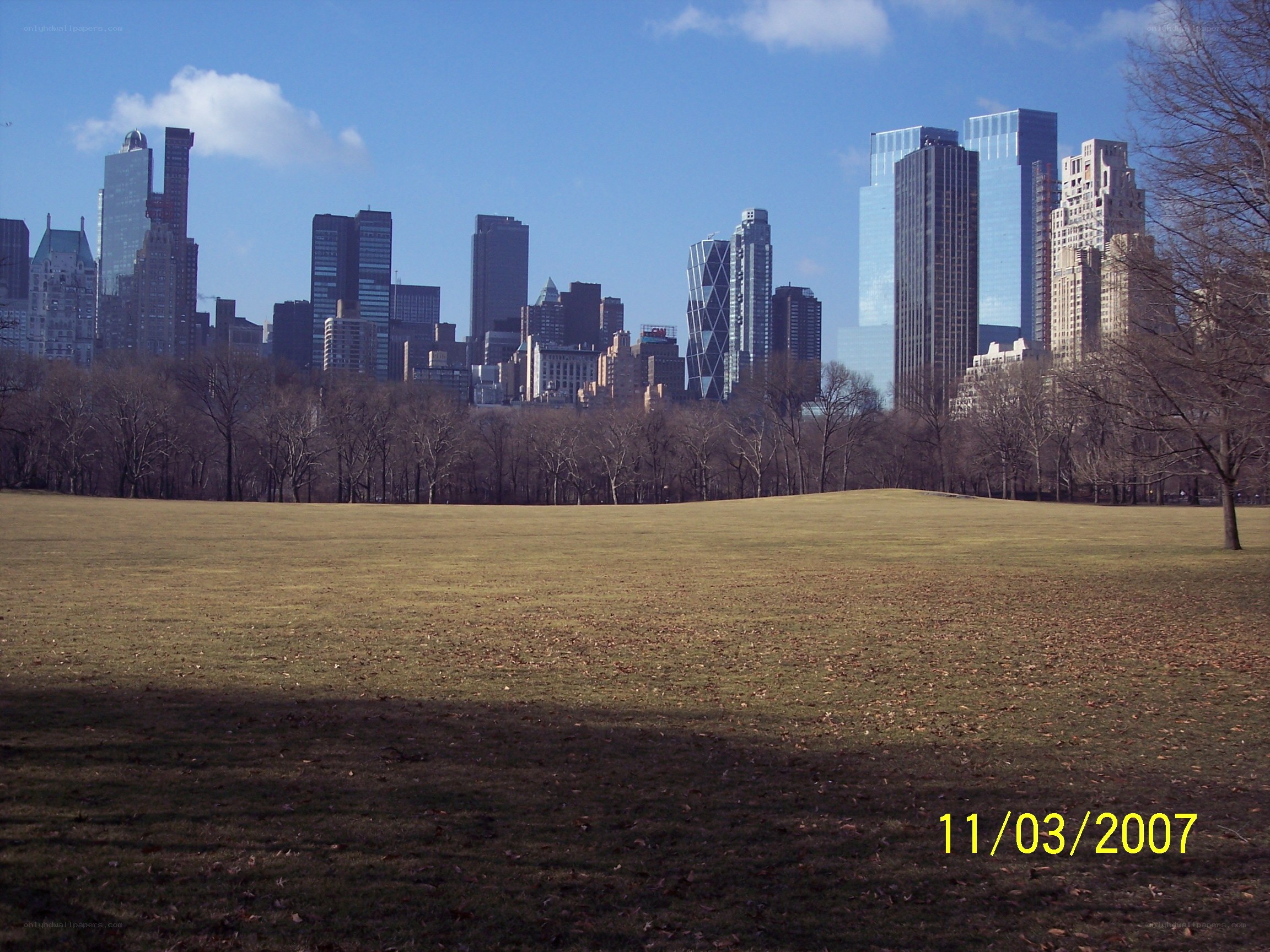 Central Park with NYC skyline