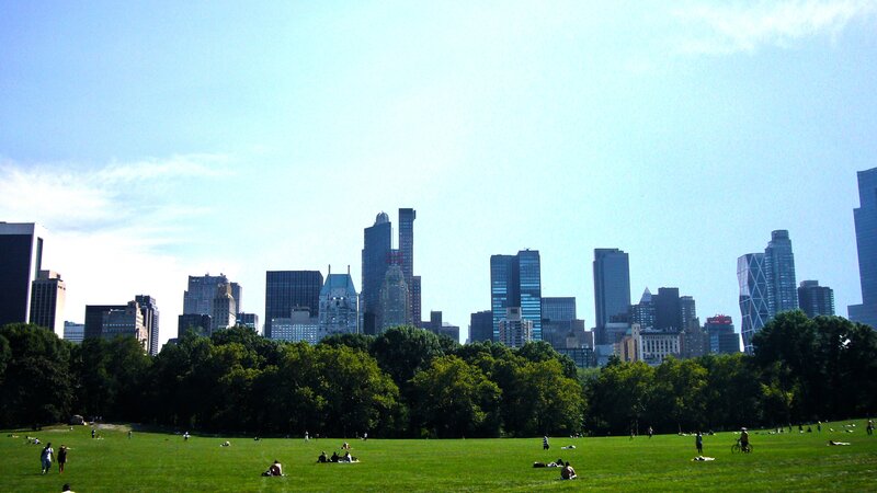 Central Park with NYC skyline