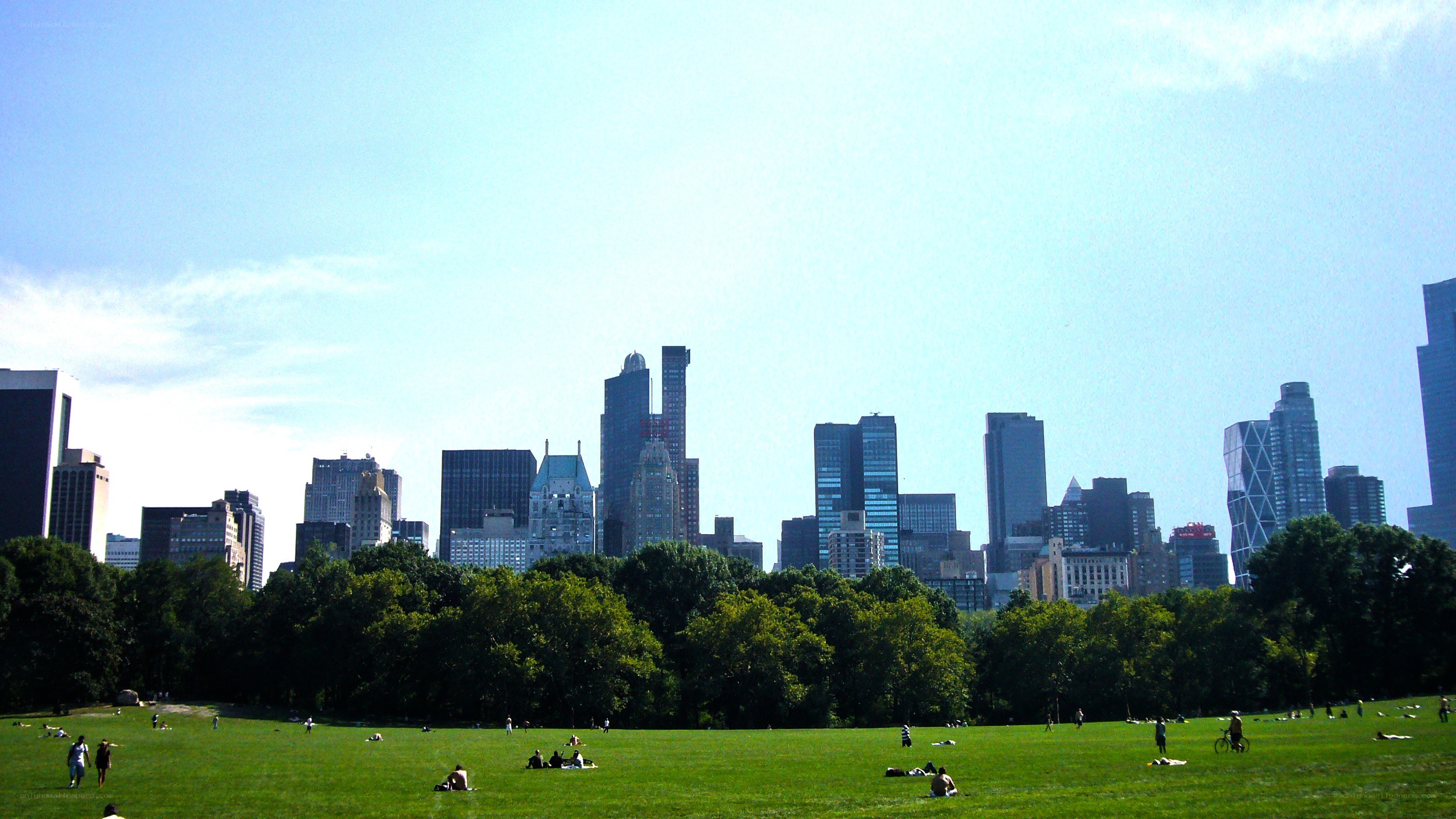 Central Park with NYC skyline