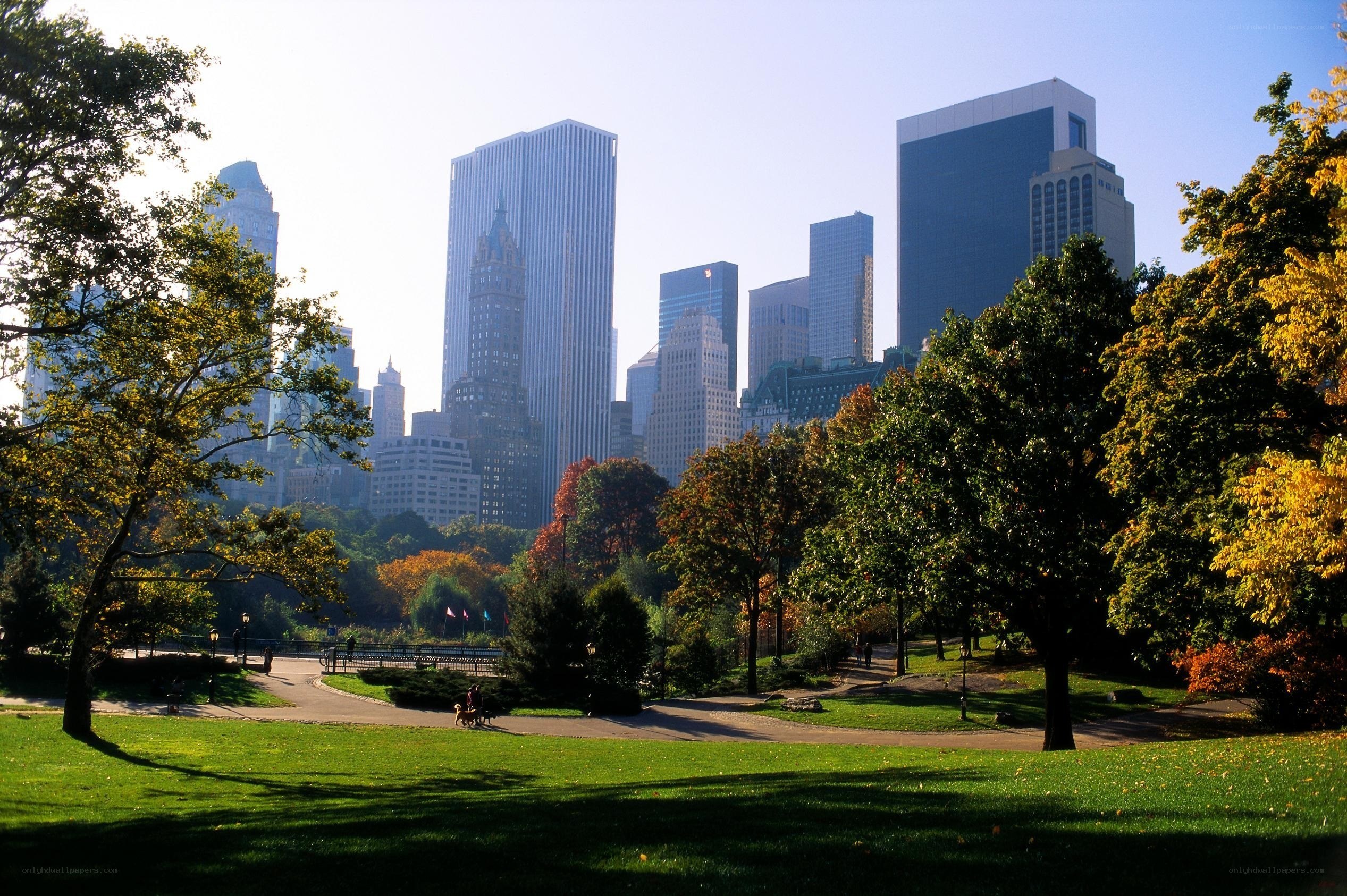 Central Park with NYC skyline