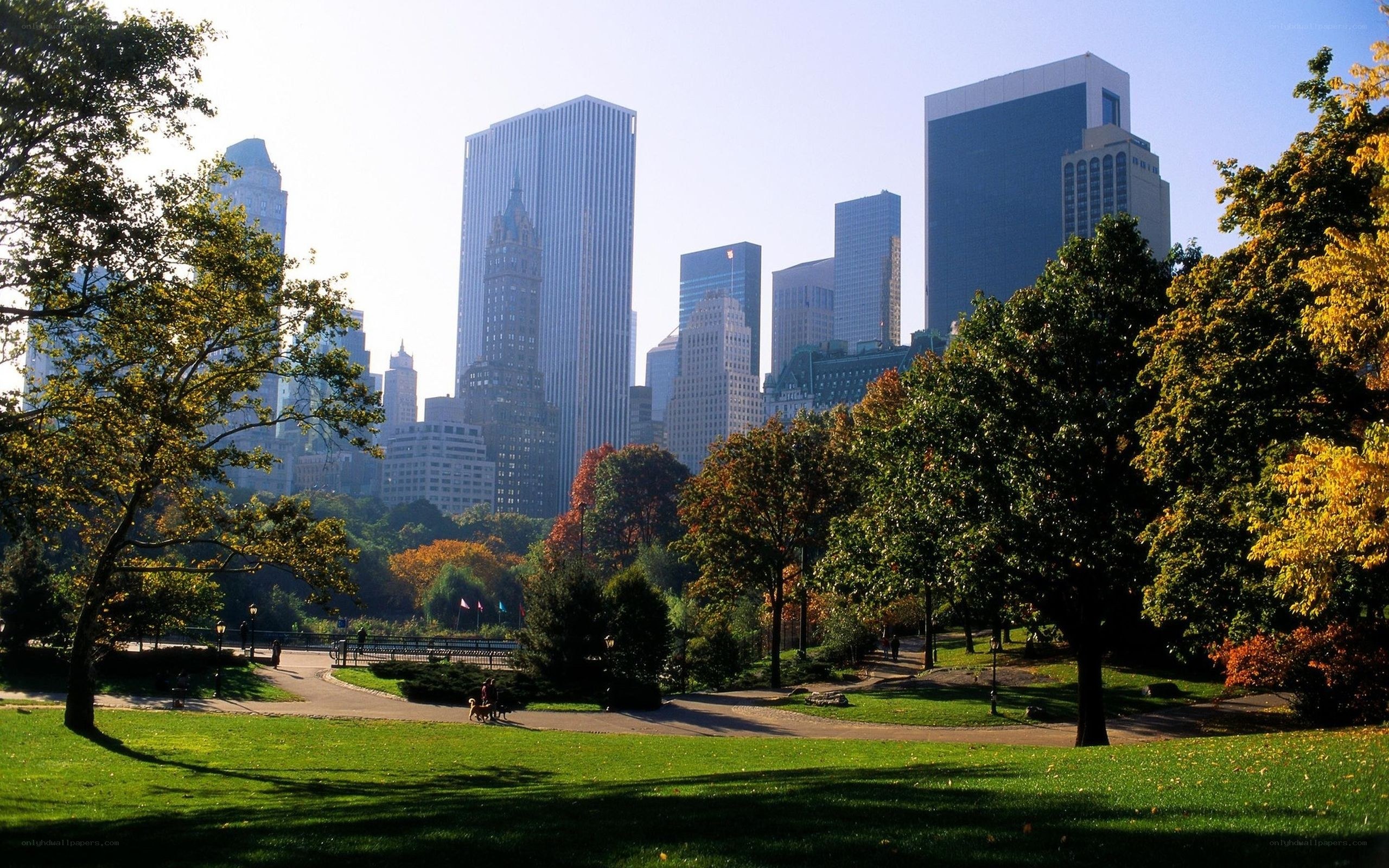 Central Park with NYC skyline