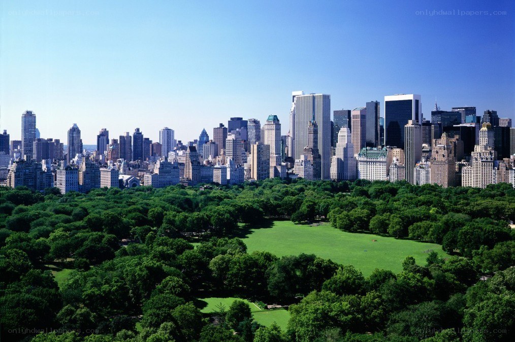 Central Park with NYC skyline