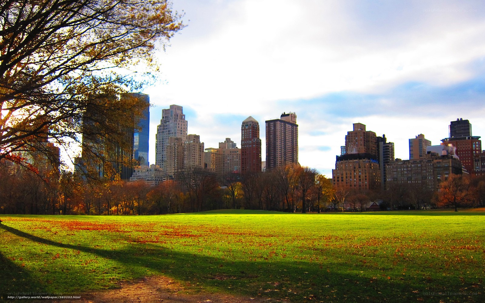Central Park with NYC skyline