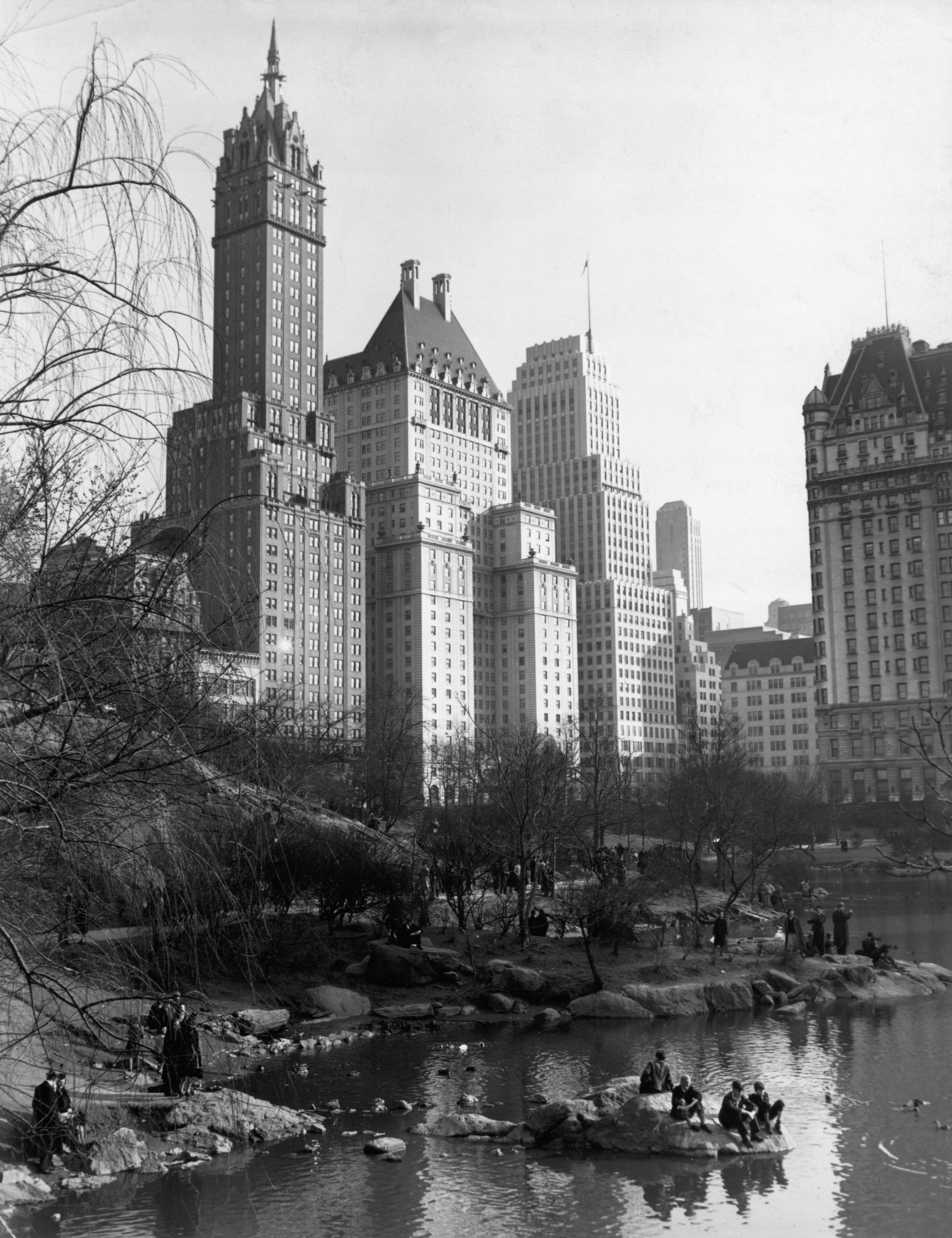 Central Park with skyscrapers