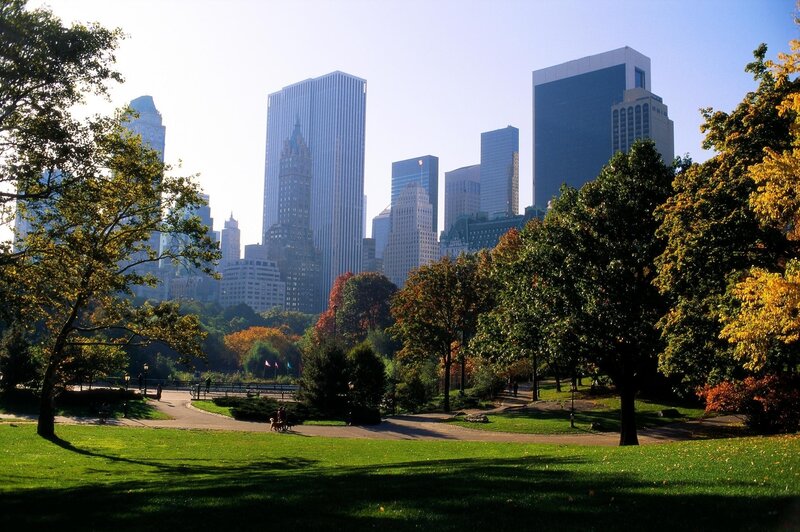 Central Park with Skyscrapers — Green