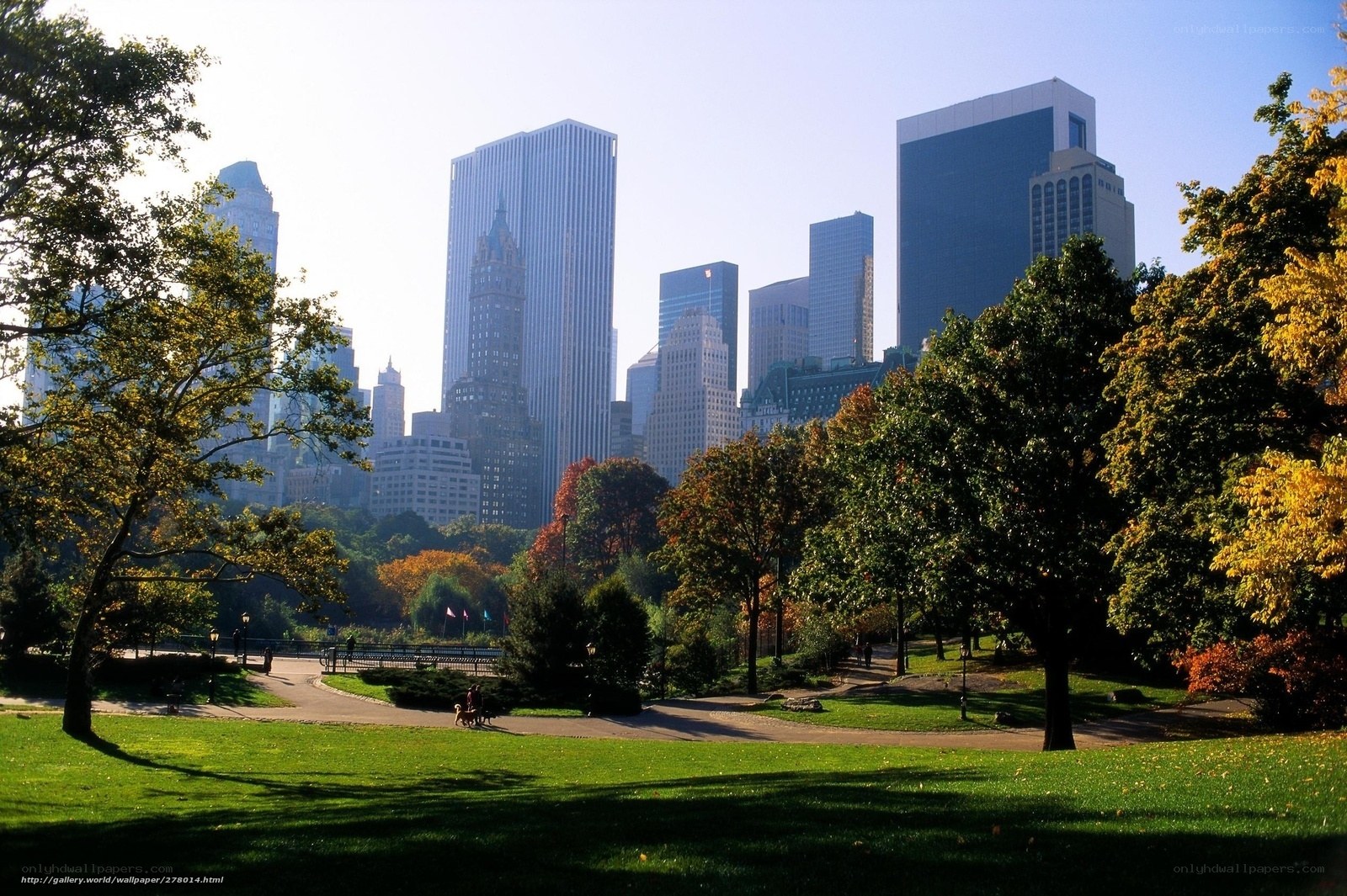 Central Park with skyscrapers