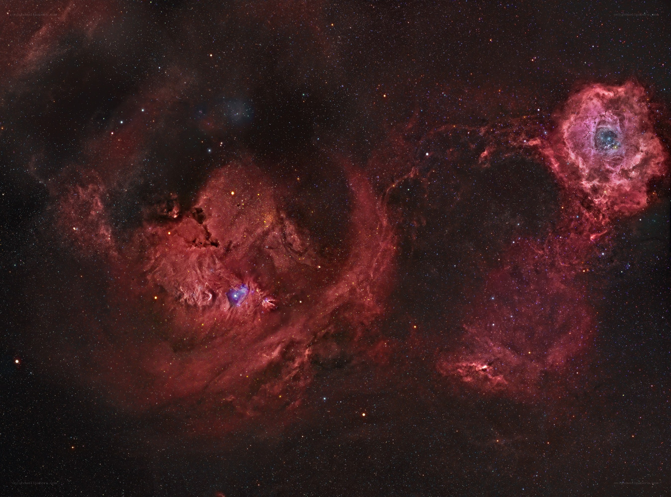 Cepheus Nebula region