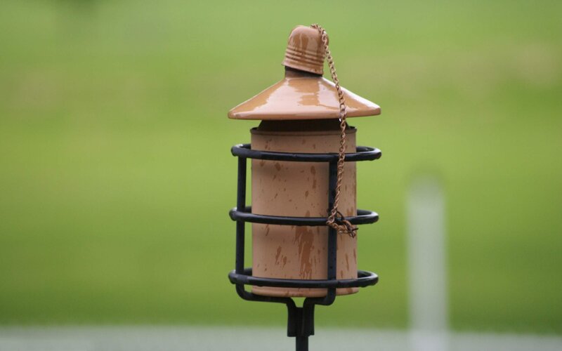 ceramic bird feeder with metal cage