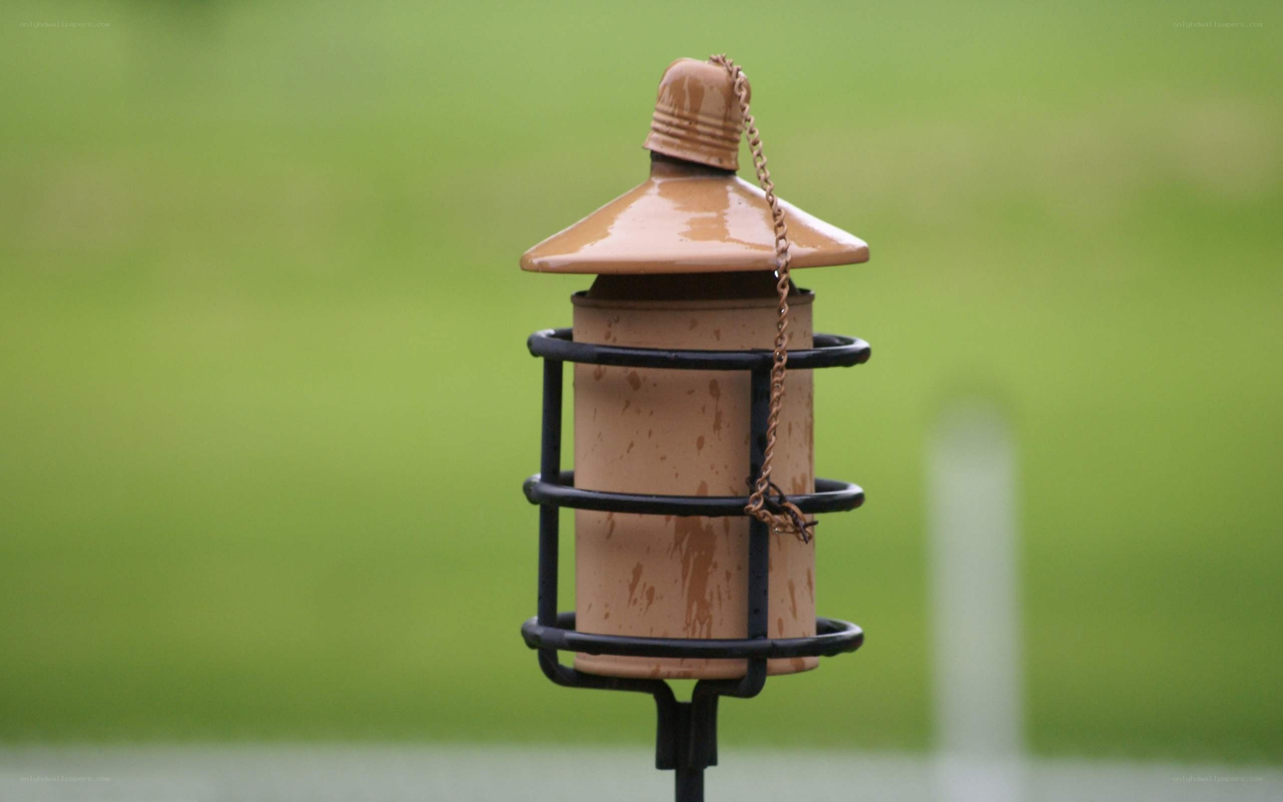 ceramic bird feeder with metal cage