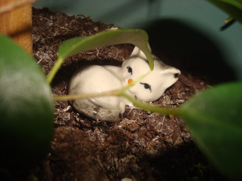 Ceramic cat figurine in soil