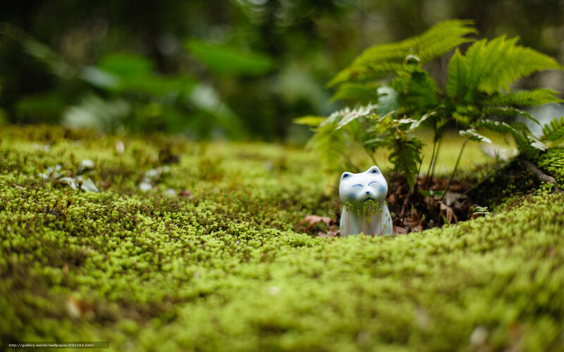 Ceramic cat on mossy ground