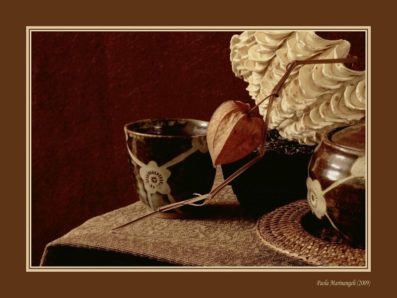 Ceramic Cups and Shell