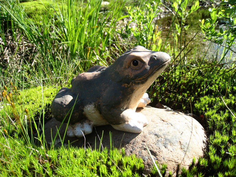 Ceramic Frog Statue