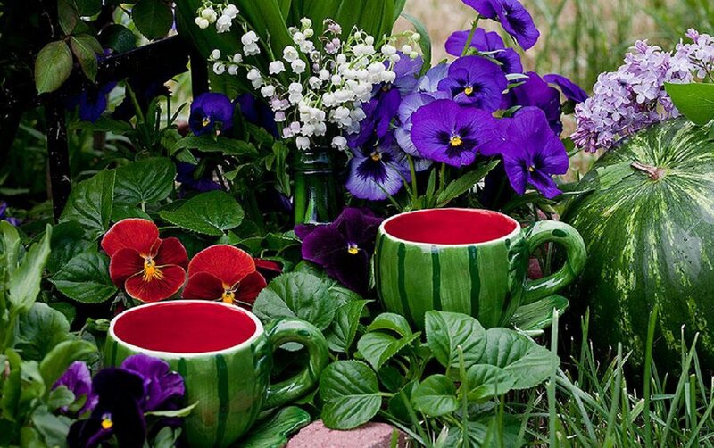 Ceramic Mugs in Garden
