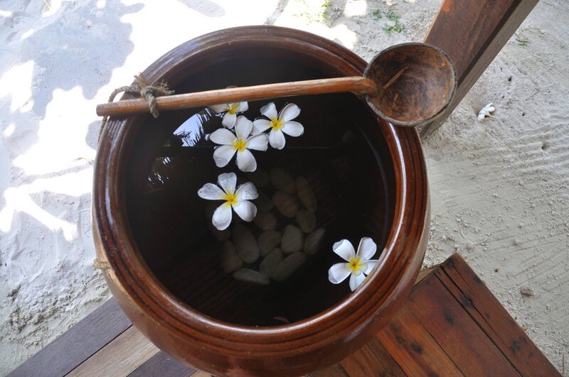 Ceramic Pot with Flowers