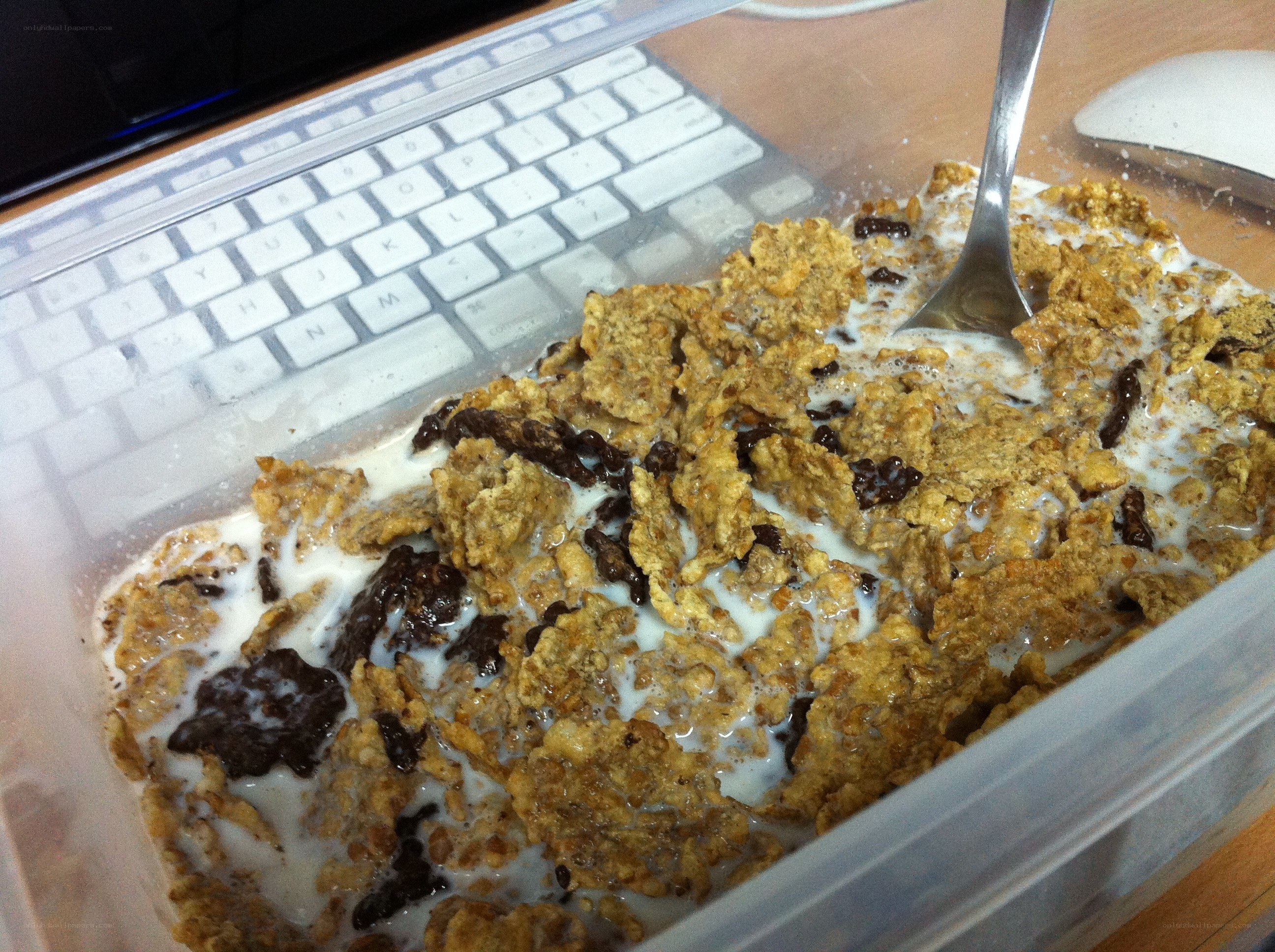 cereal in a container