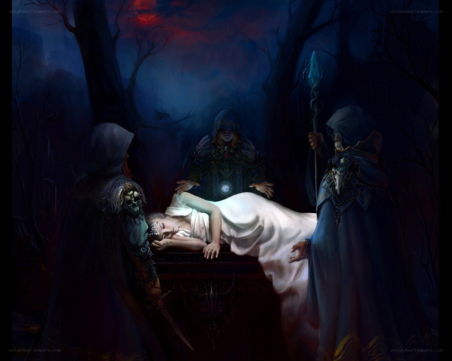 Ceremony in the dark forest
