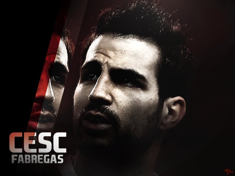 Cesc Fabregas portrait