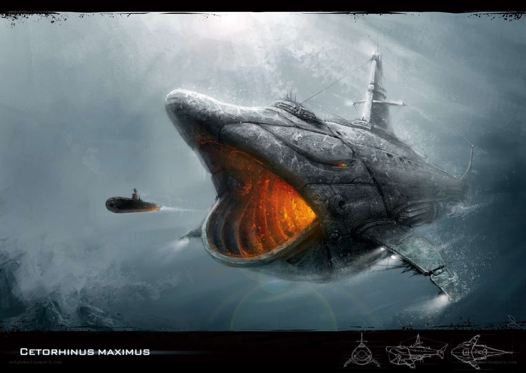 Cetorhinus Maximus concept art