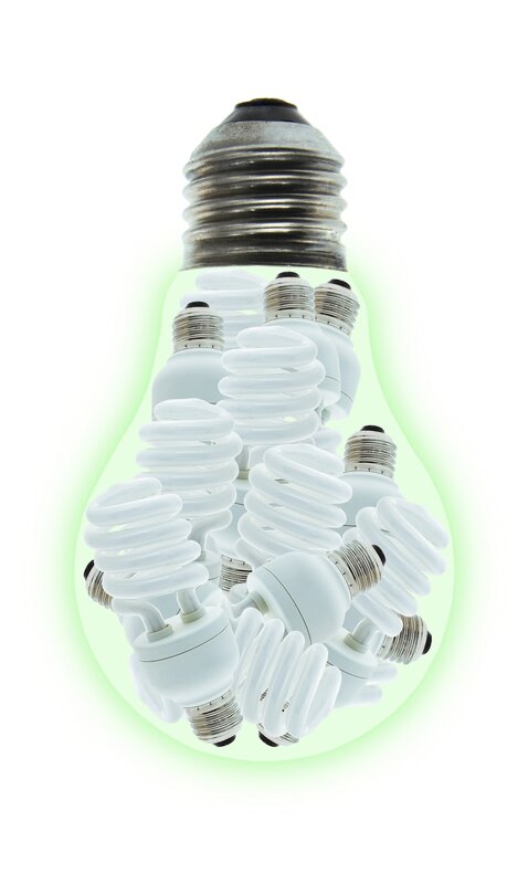 CFL light bulbs in a bulb