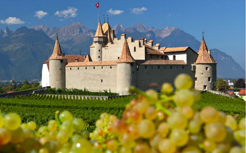 Château D'Aigle with Grapes