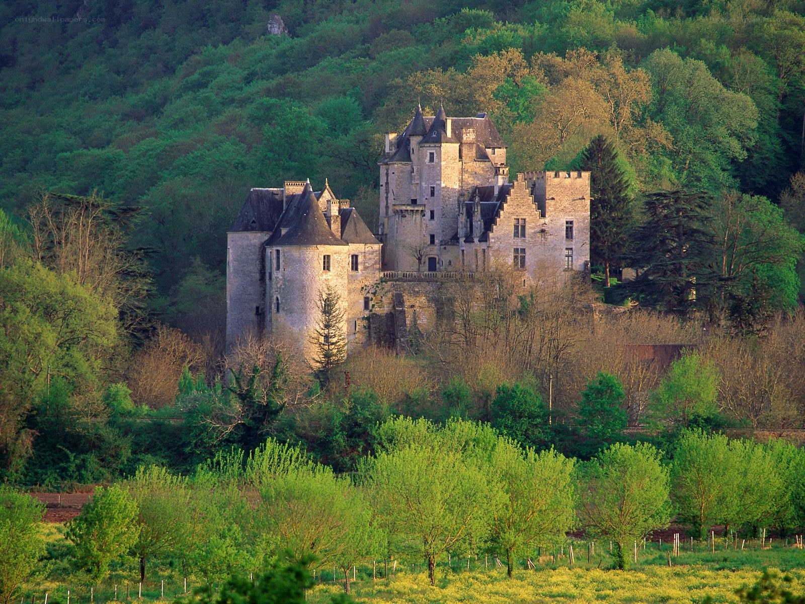 Château de Castelnaud in spring