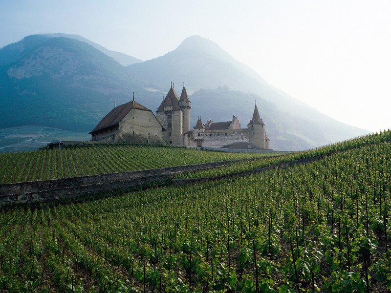 Château de Châtelard with vineyards