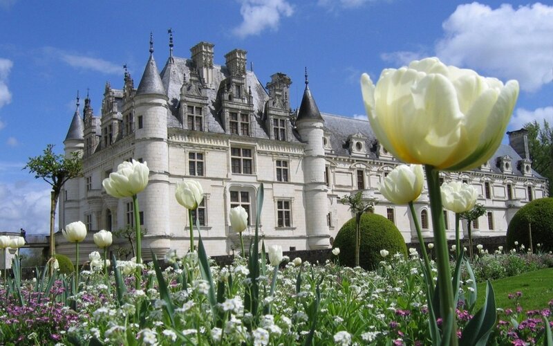 Château de Chenonceau with tulips