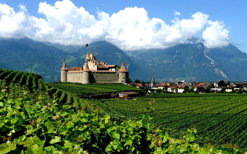 Château De Chillon — Green, Serene, Afternoon, Photograph, Vineyards