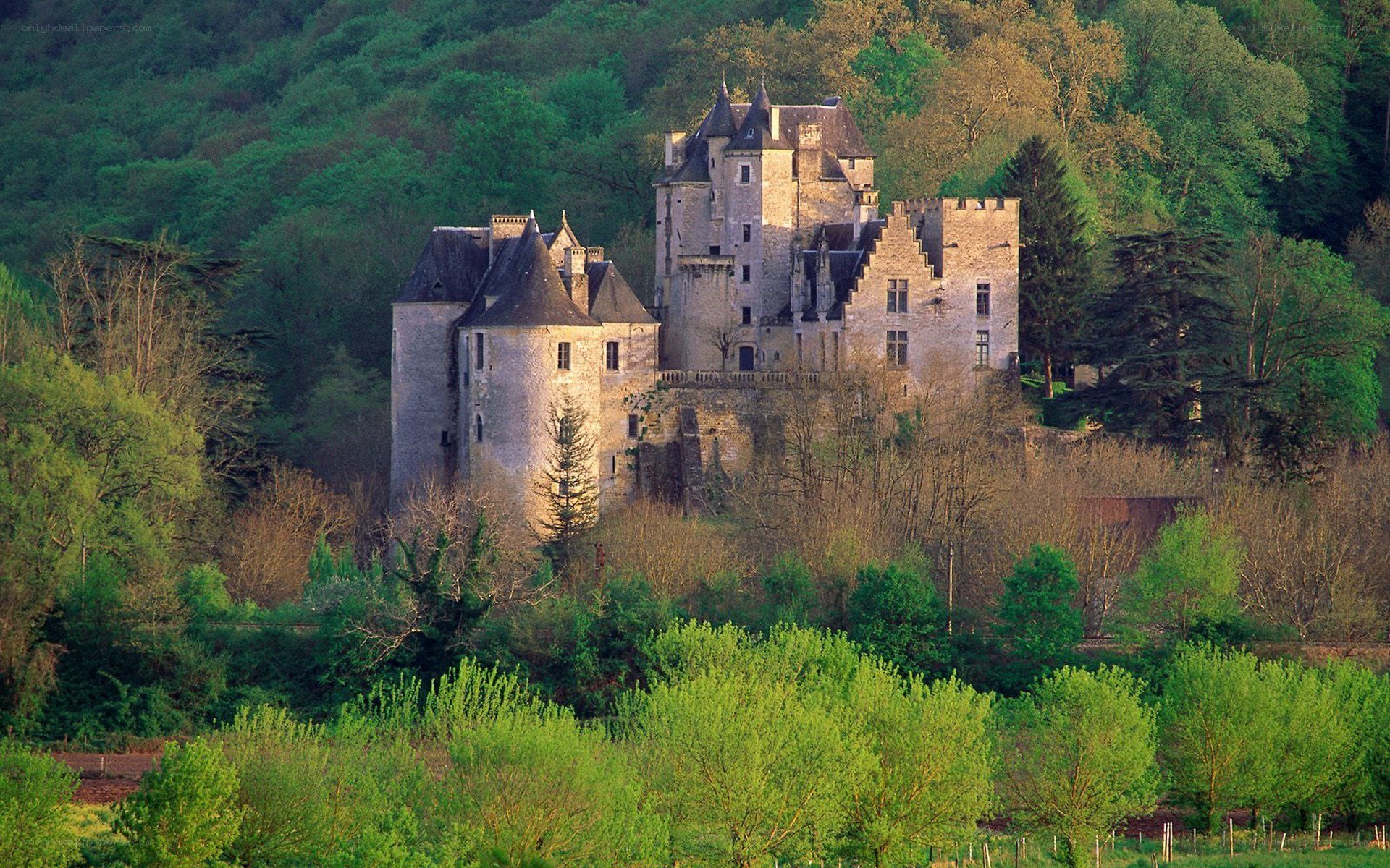 Château de Montpensier