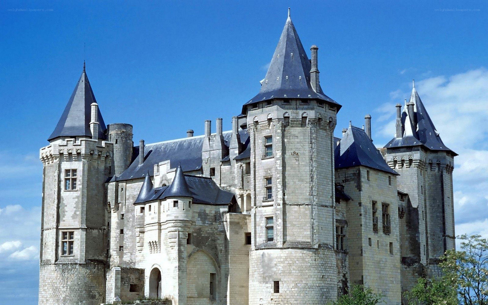 Château de Saumur