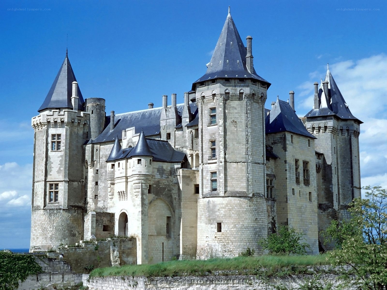 Château de Saumur