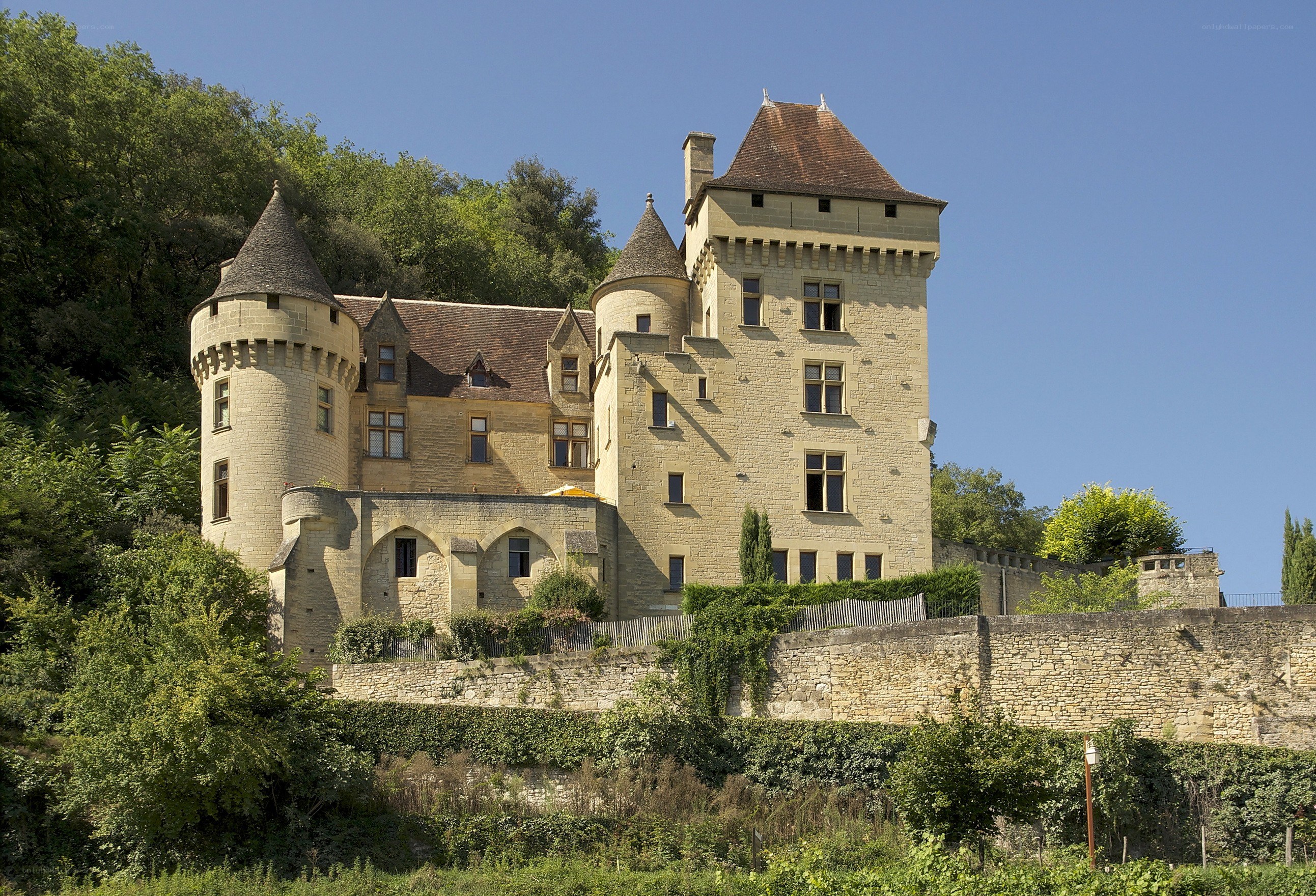 Château de Verteuil