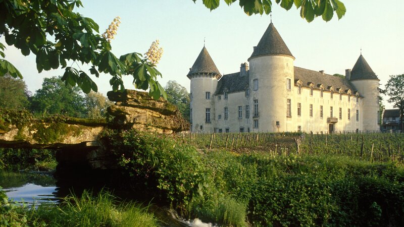 Château in a vineyard landscape