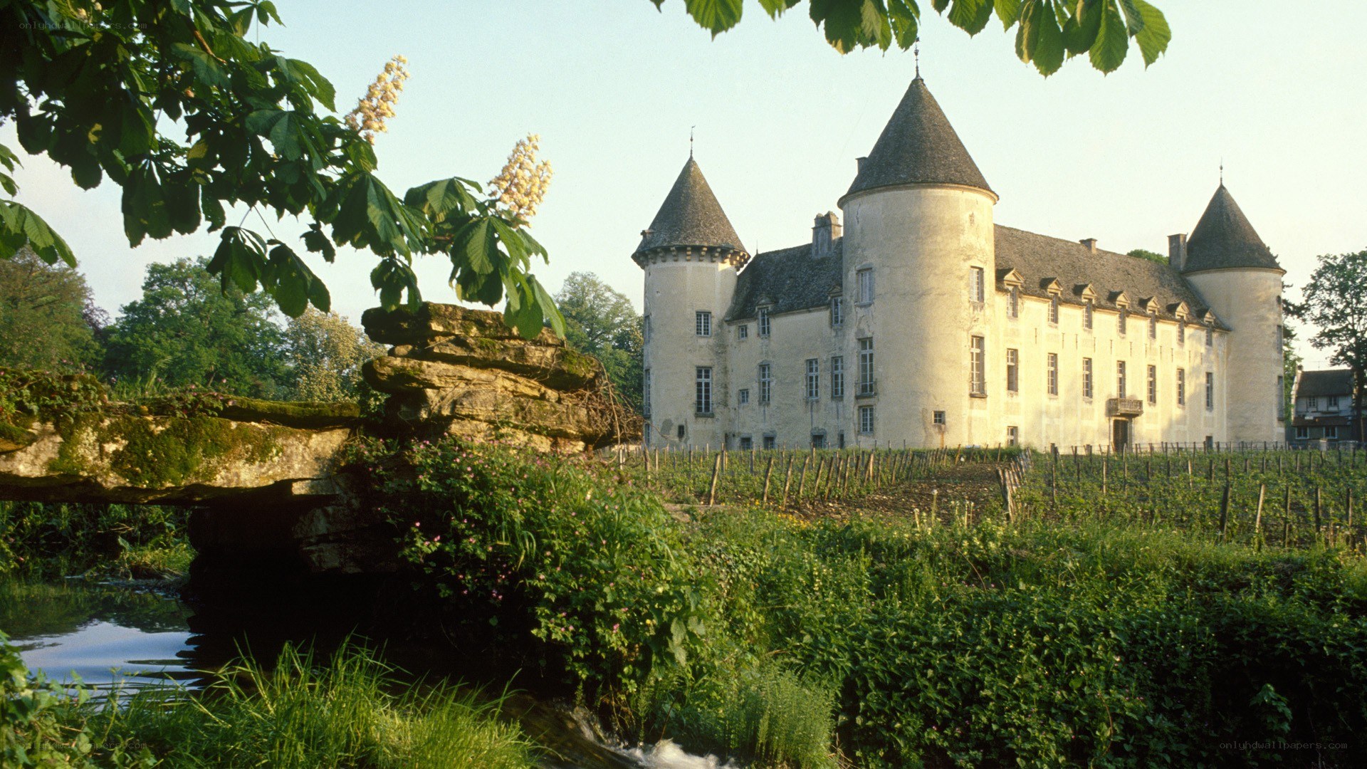 Château in a vineyard landscape