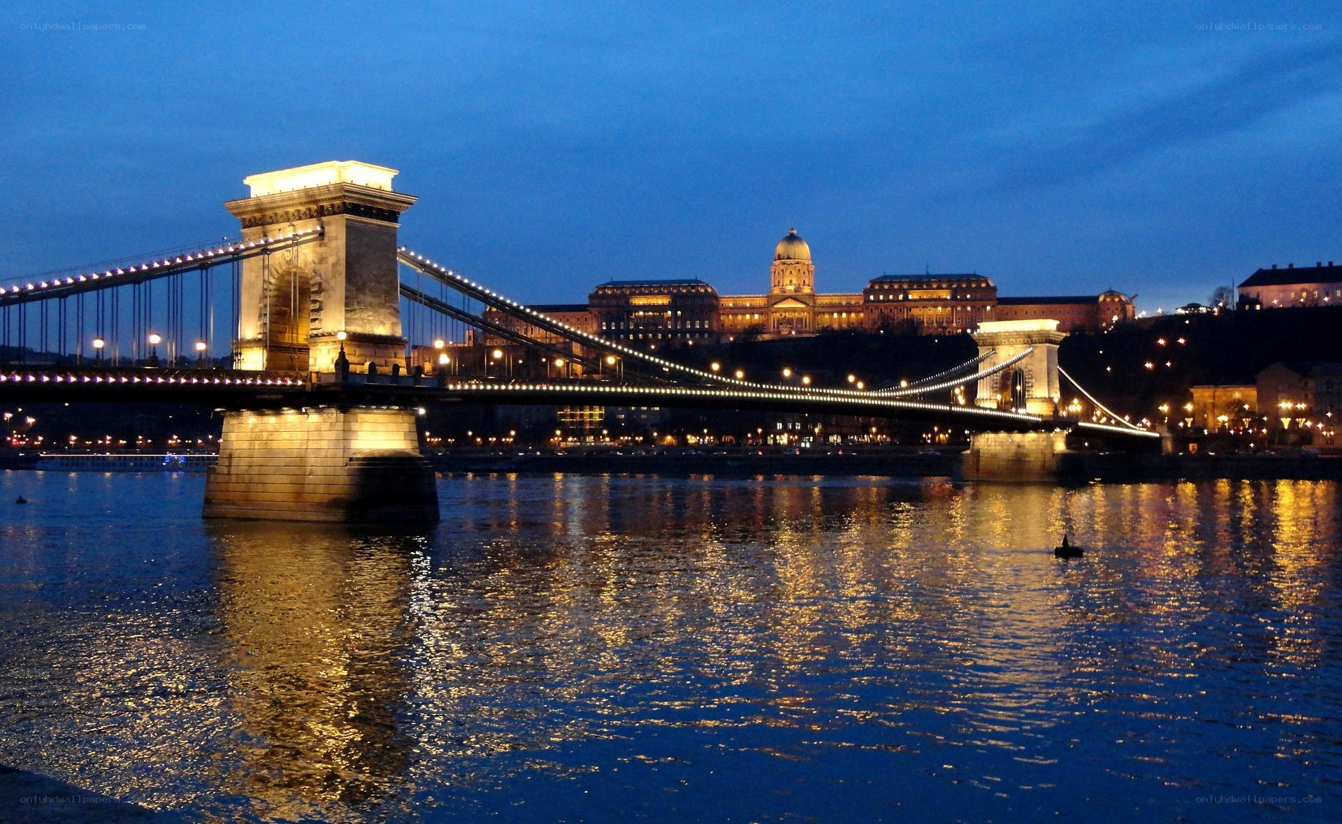 Chain Bridge at night in Budapest