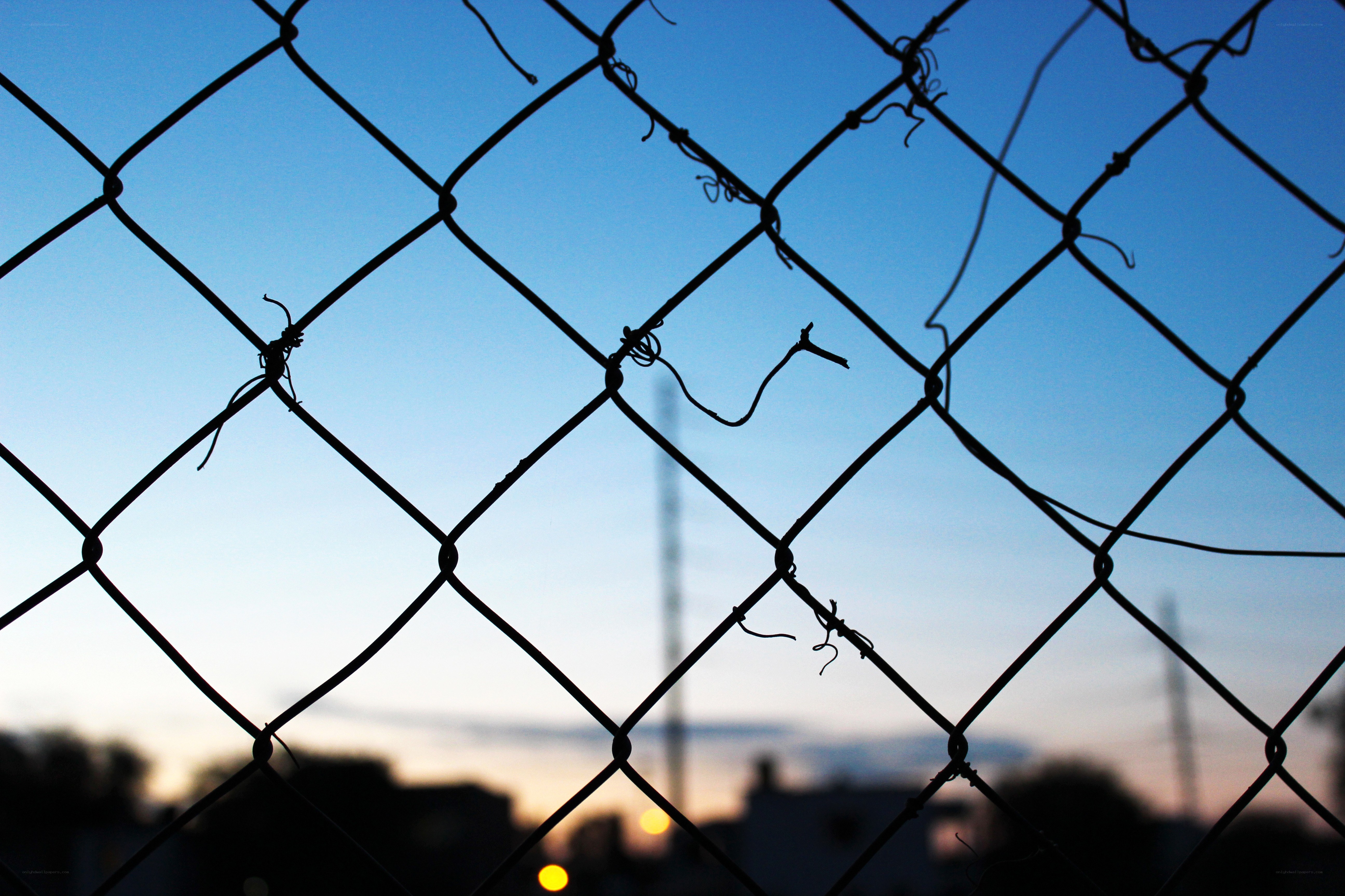 chain-link fence at dusk