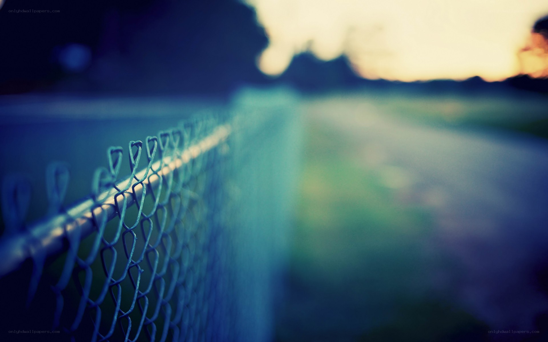 Chain-link fence at dusk