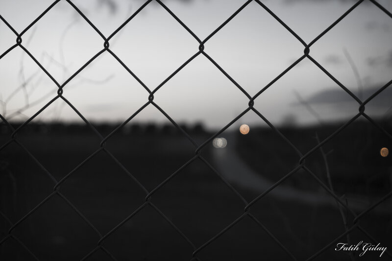 Chain-link Fence at Dusk — Black