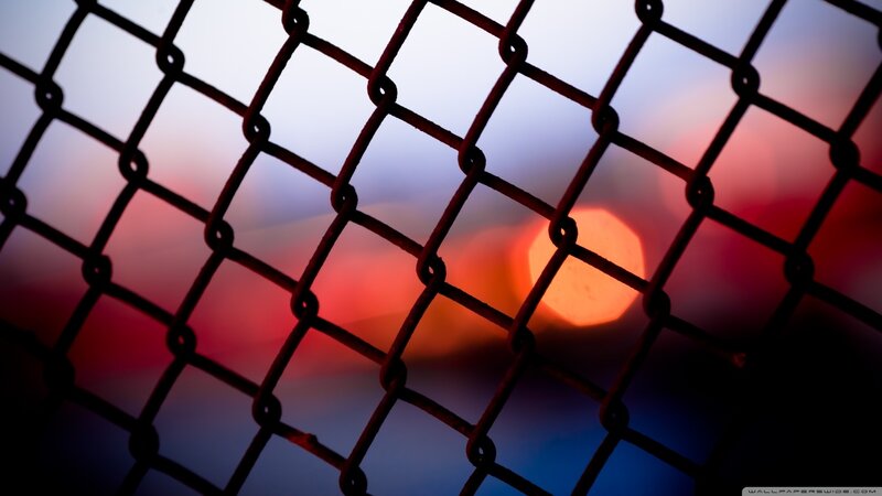 Chain-link Fence at Dusk — Red