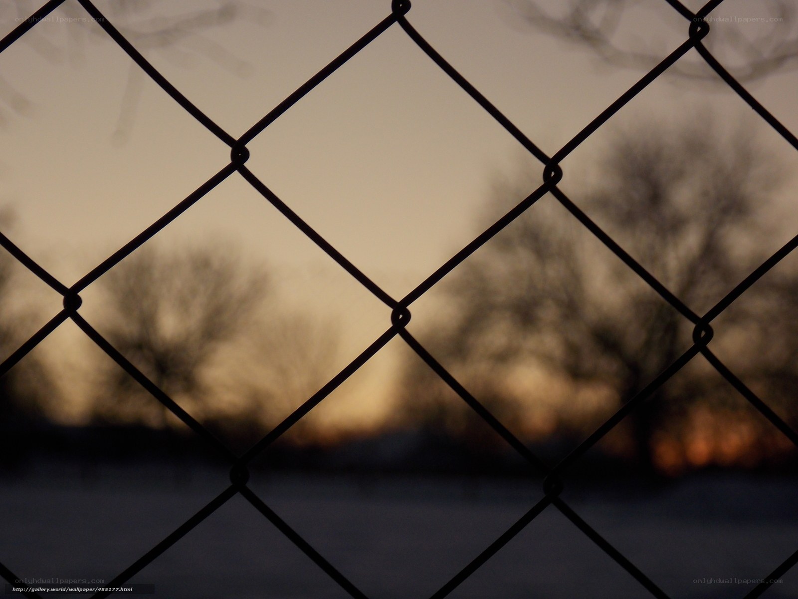 Chain-link fence at dusk