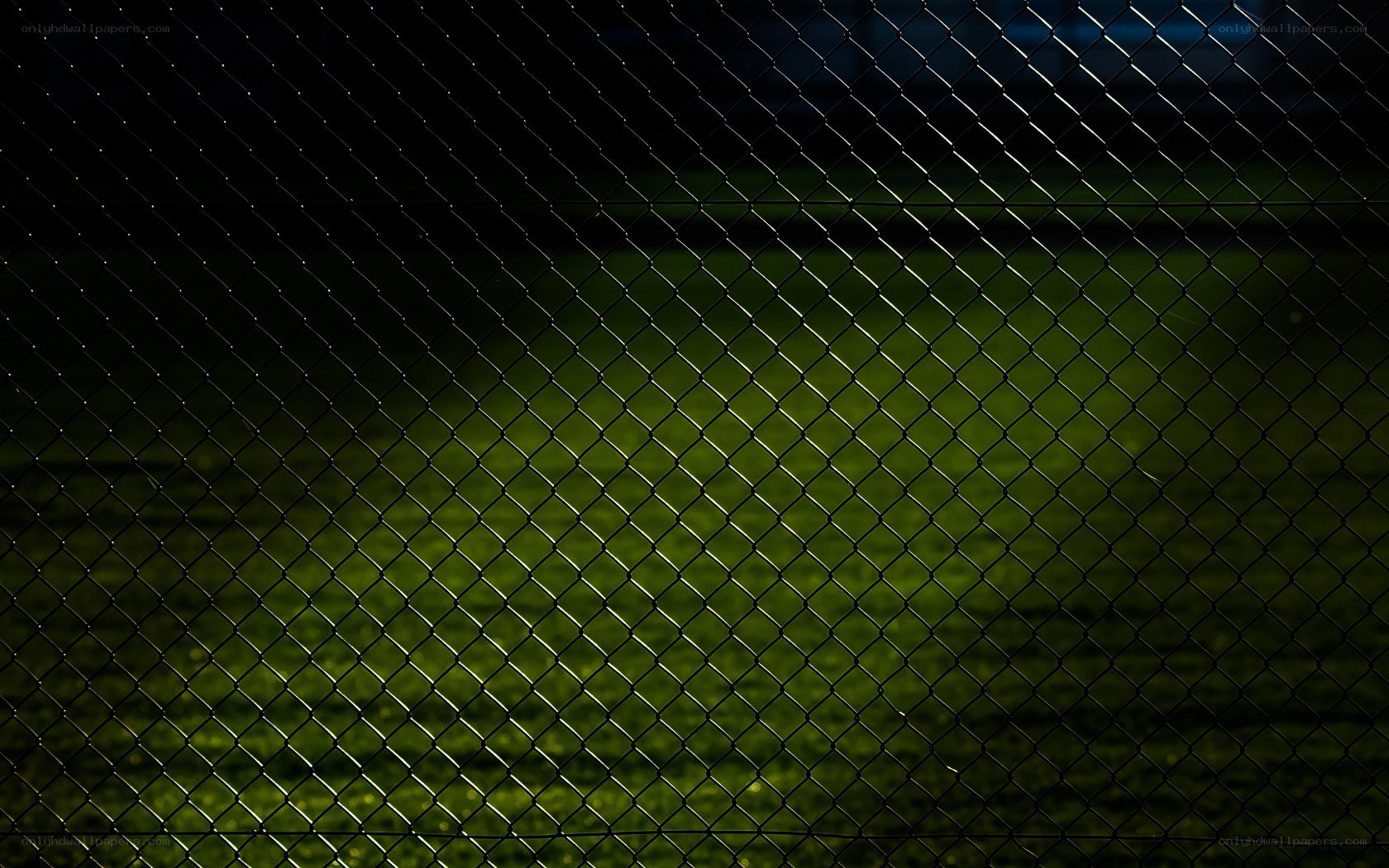 chain-link fence at night
