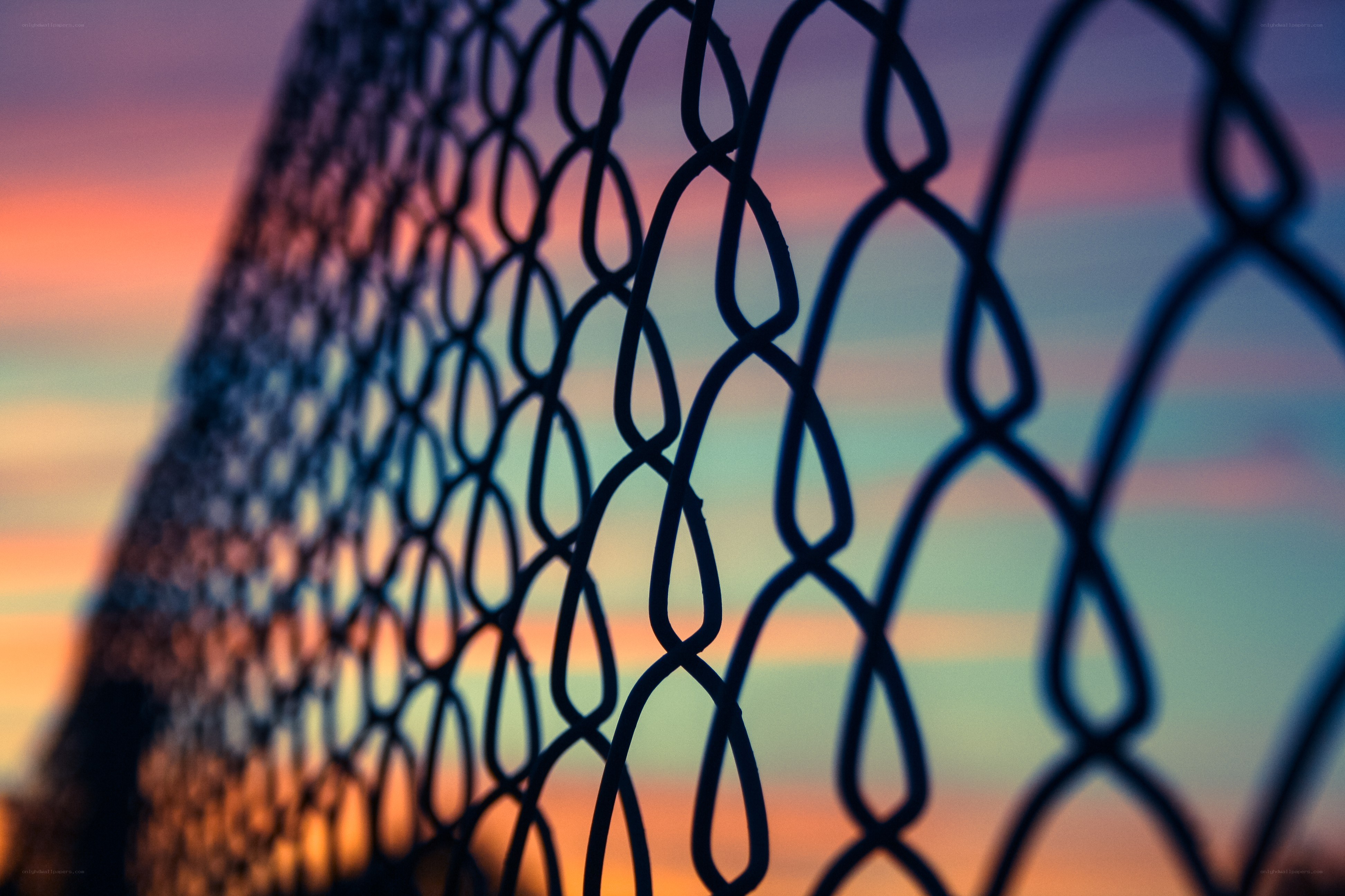 chain-link fence at sunset