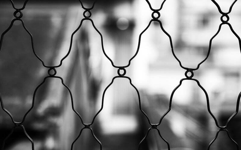 Chain-link Fence — Black, Neutral