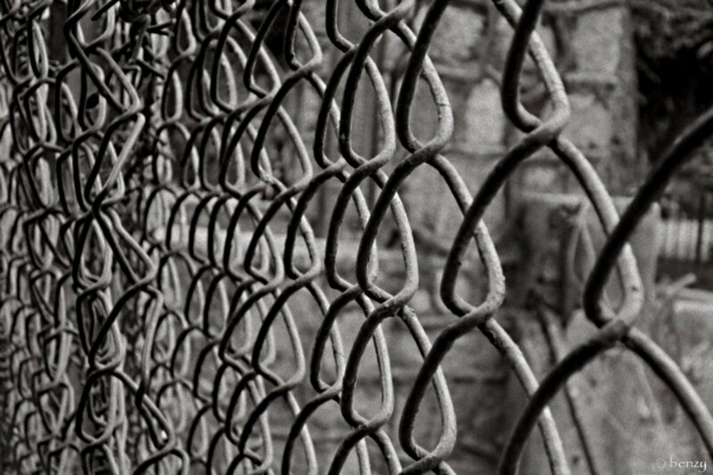 Chain-link Fence — Black