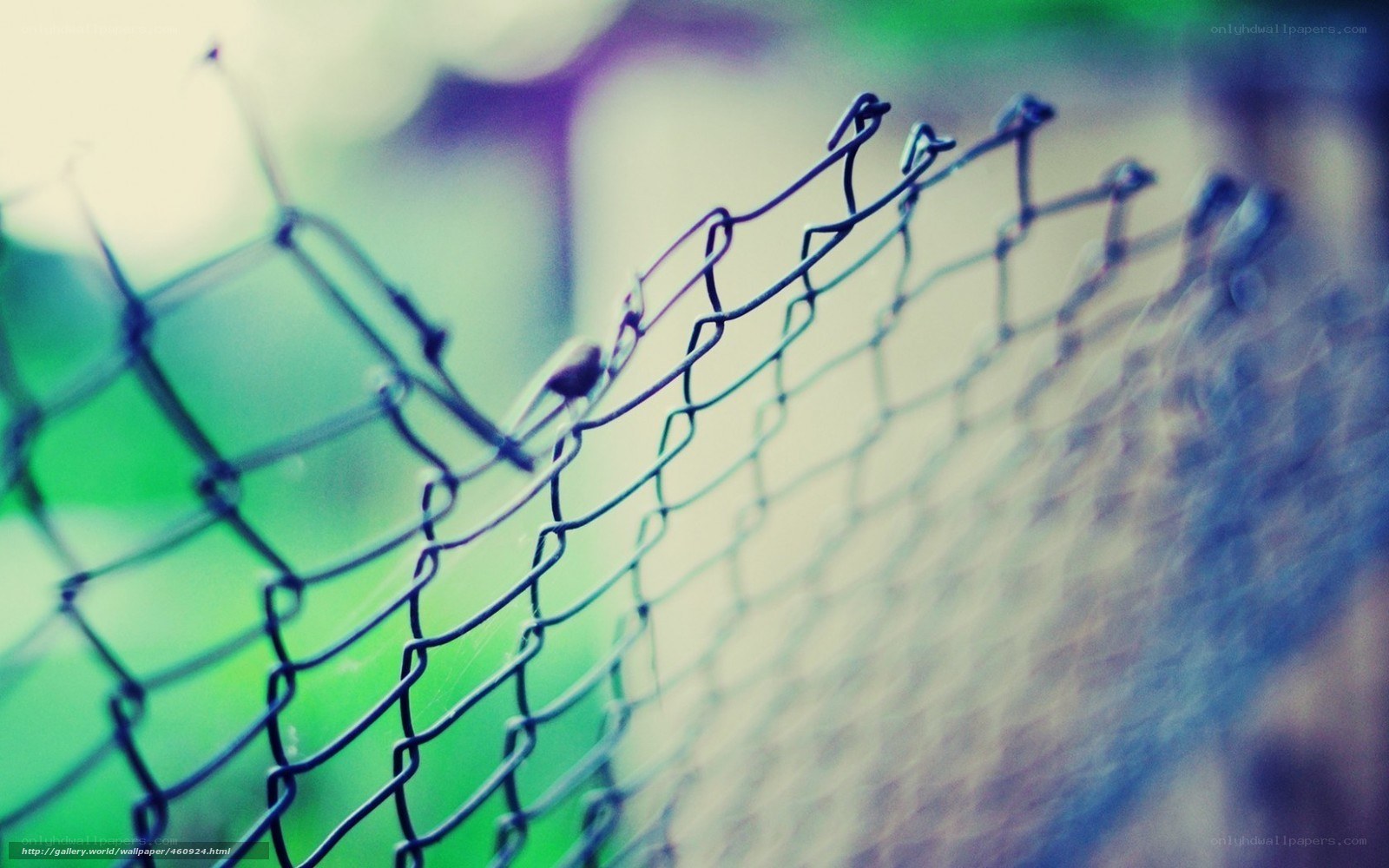 chain-link fence close-up